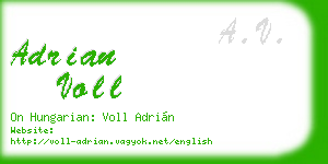 adrian voll business card